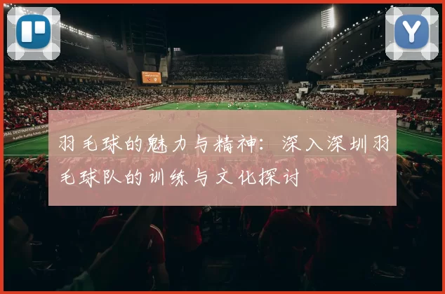 羽毛球的魅力与精神：深入深圳羽毛球队的训练与文化探讨