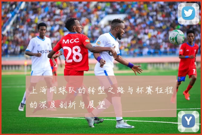 上海网球队的转型之路与杯赛征程的深度剖析与展望