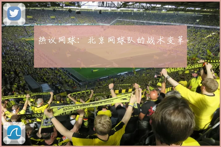 热议网球：北京网球队的战术变革